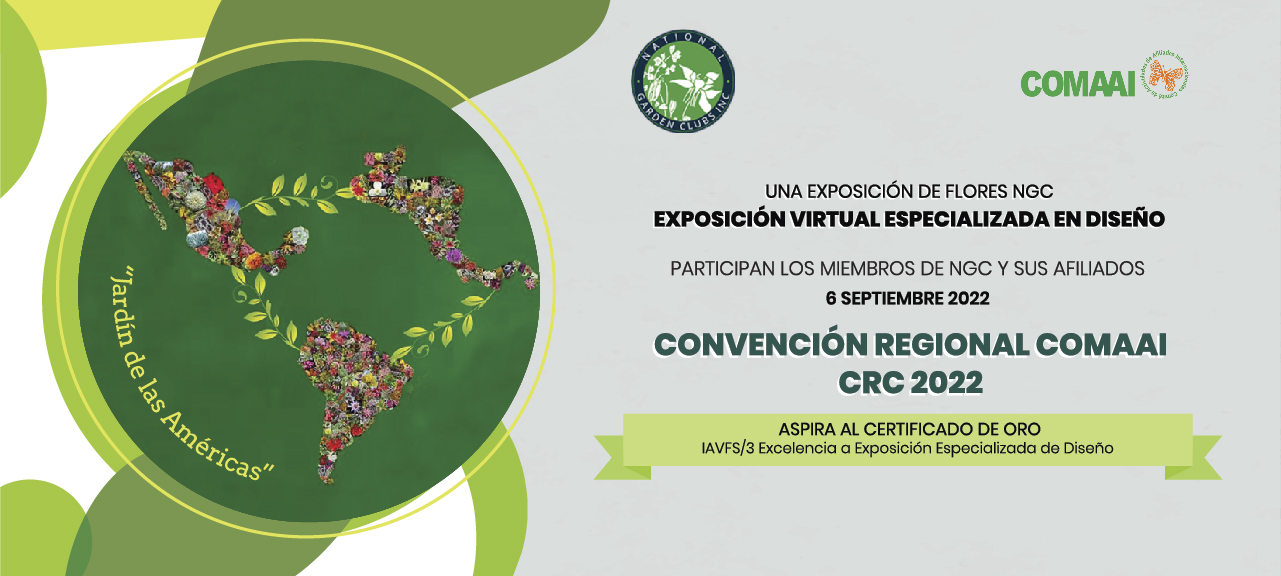 Convención Virtual COMAAI 2022