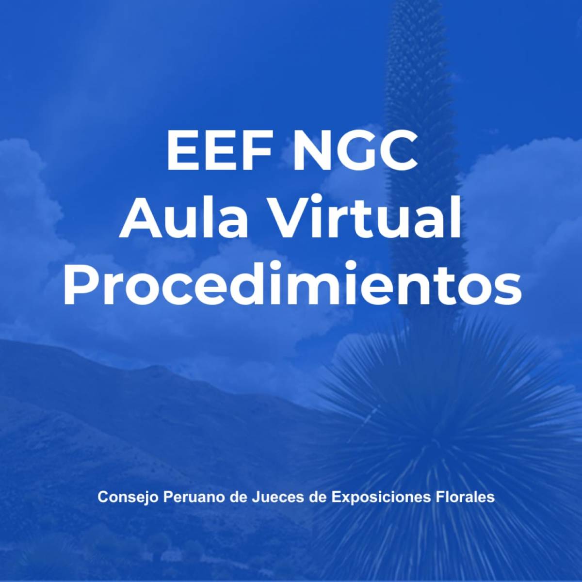 EEF  NGC Procedimientos  PERU