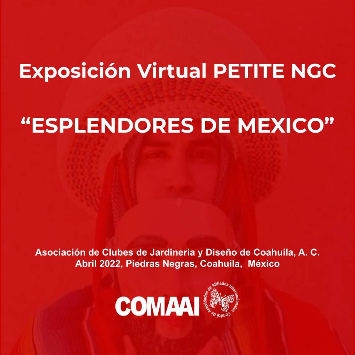 Exposición Virtual Petite NGC Esplendores de México